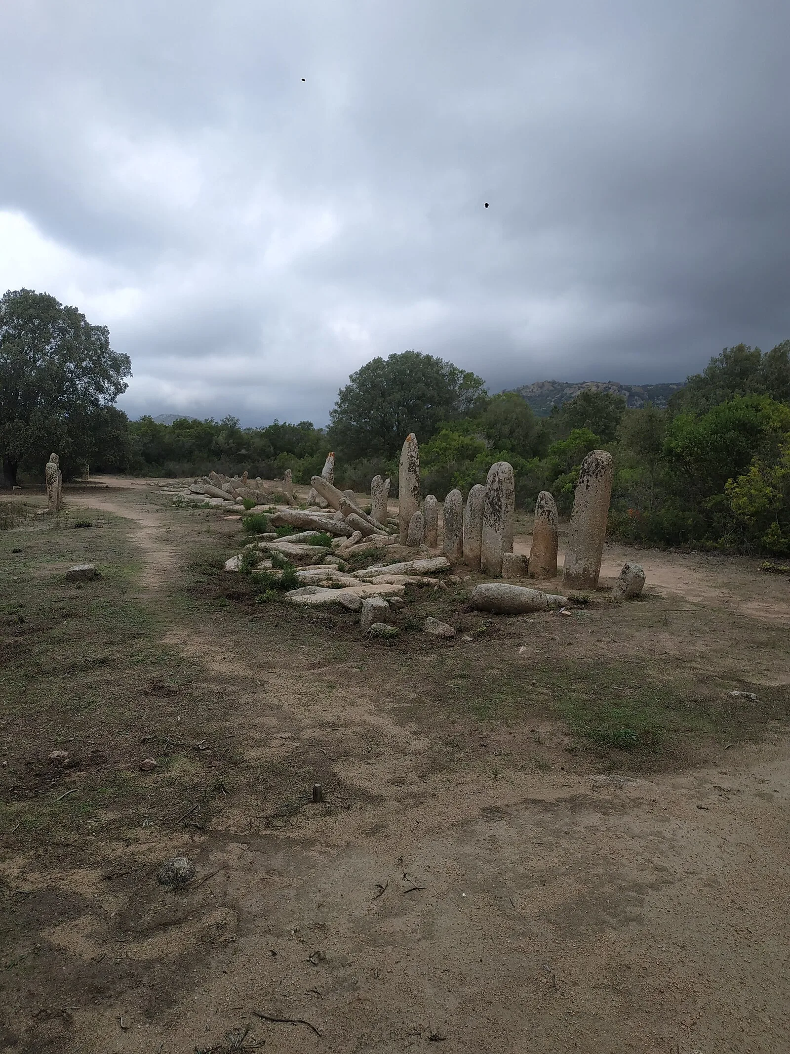 Paddaghju